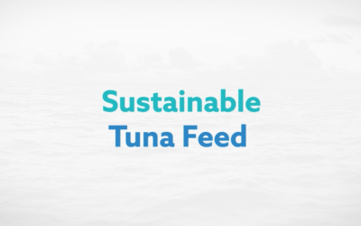“The only successful tuna feed manufactured with sustainable ingredients”